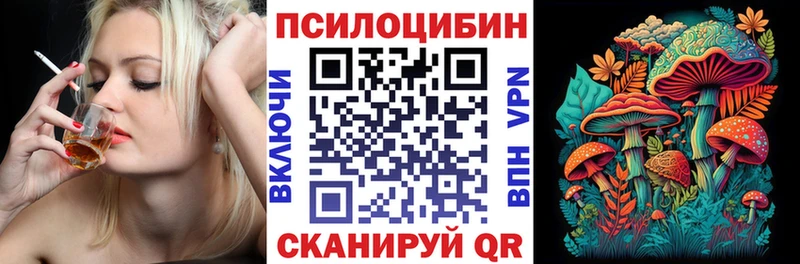 Псилоцибиновые грибы Psilocybe Камышин