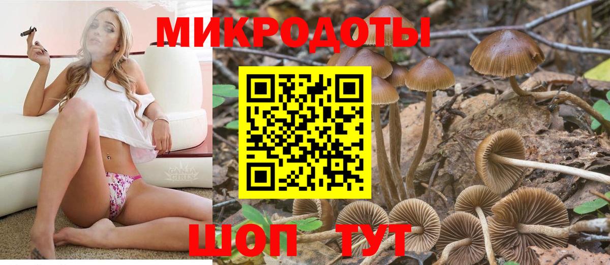 Псилоцибиновые грибы Psilocybine cubensis  Псилоцибиновые грибы ЛСД  Вход с VPN  Камышин 