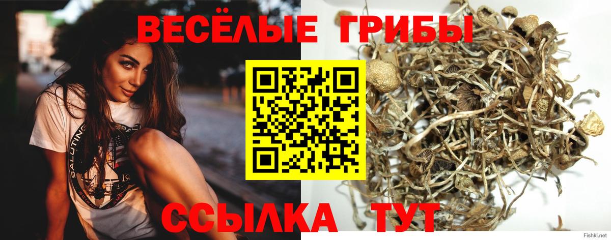 Камышин  Экстази  Бошки Шишки  Бошки Шишки  МЕФ кристаллы  ГАШ  Вход с VPN  КОКАИН 